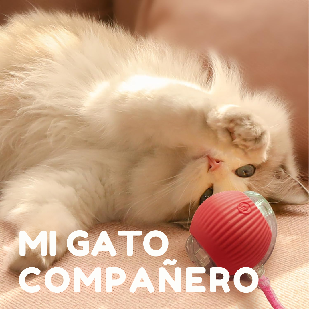 Pelota Inteligente con Soga para Gatos (Carga USB)