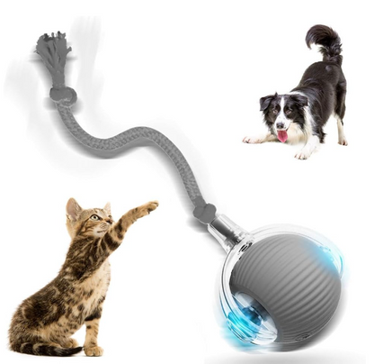 Pelota Inteligente con Soga para Gatos (Carga USB)